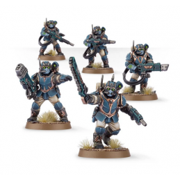 Militarum Tempestus Scions