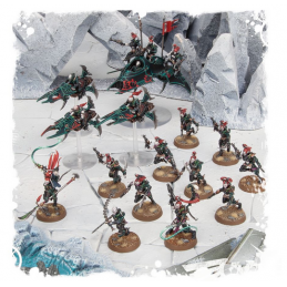 Start Collecting! Drukhari
