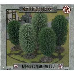 Grande forêt d'été