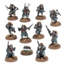 Kill Team: Gardes Vétérans